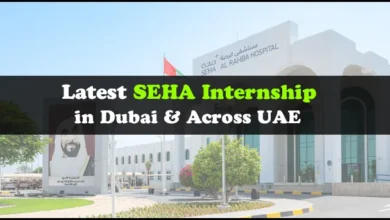 SEHA Internship