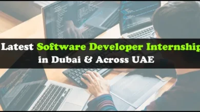 Software Developer Internship