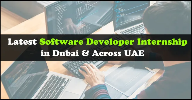 Software Developer Internship